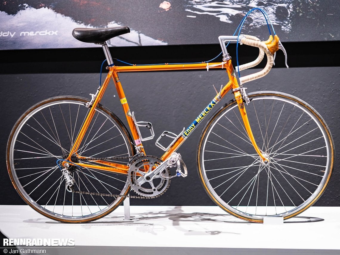 merckx-back-24-16