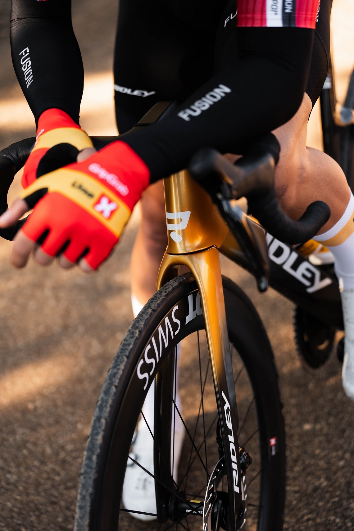 BIs zu 34 mm Reifenfreiheit sollen das Noah Fast auch für Klassiker wie Paris-Roubaix rüsten.