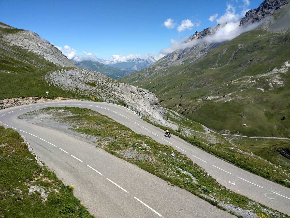 Bergziege am Galibier...