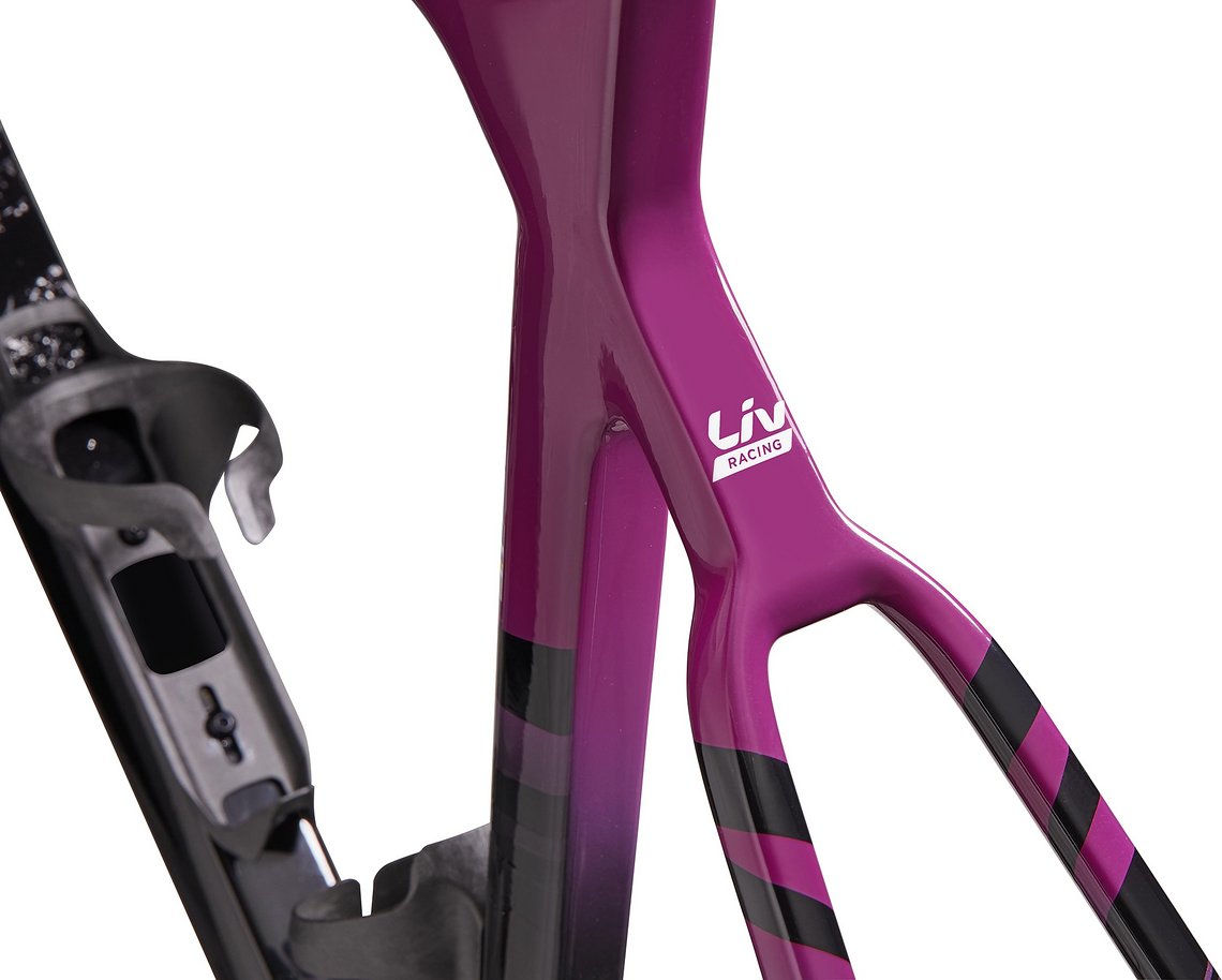 EnviLiv Advanced SL Frameset   Liv Racing logo