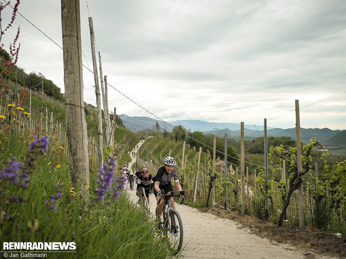 Die Nova Eroica Prosecco Hills ist ein Gravel- und Allroad-Ride durch die Wiege des gleichnamigen Schaumweines