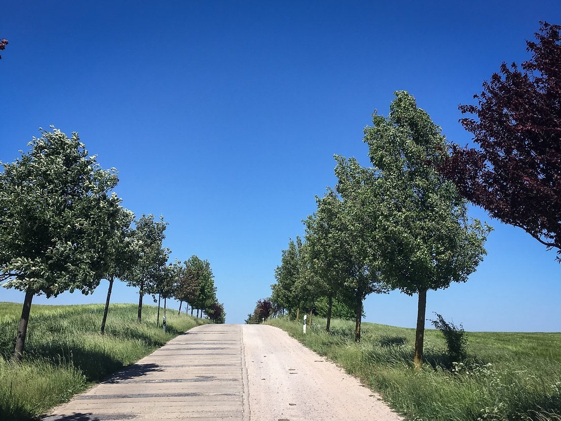 Typische Allee in Mecklenburg - die Runde ist flach bis hügelig