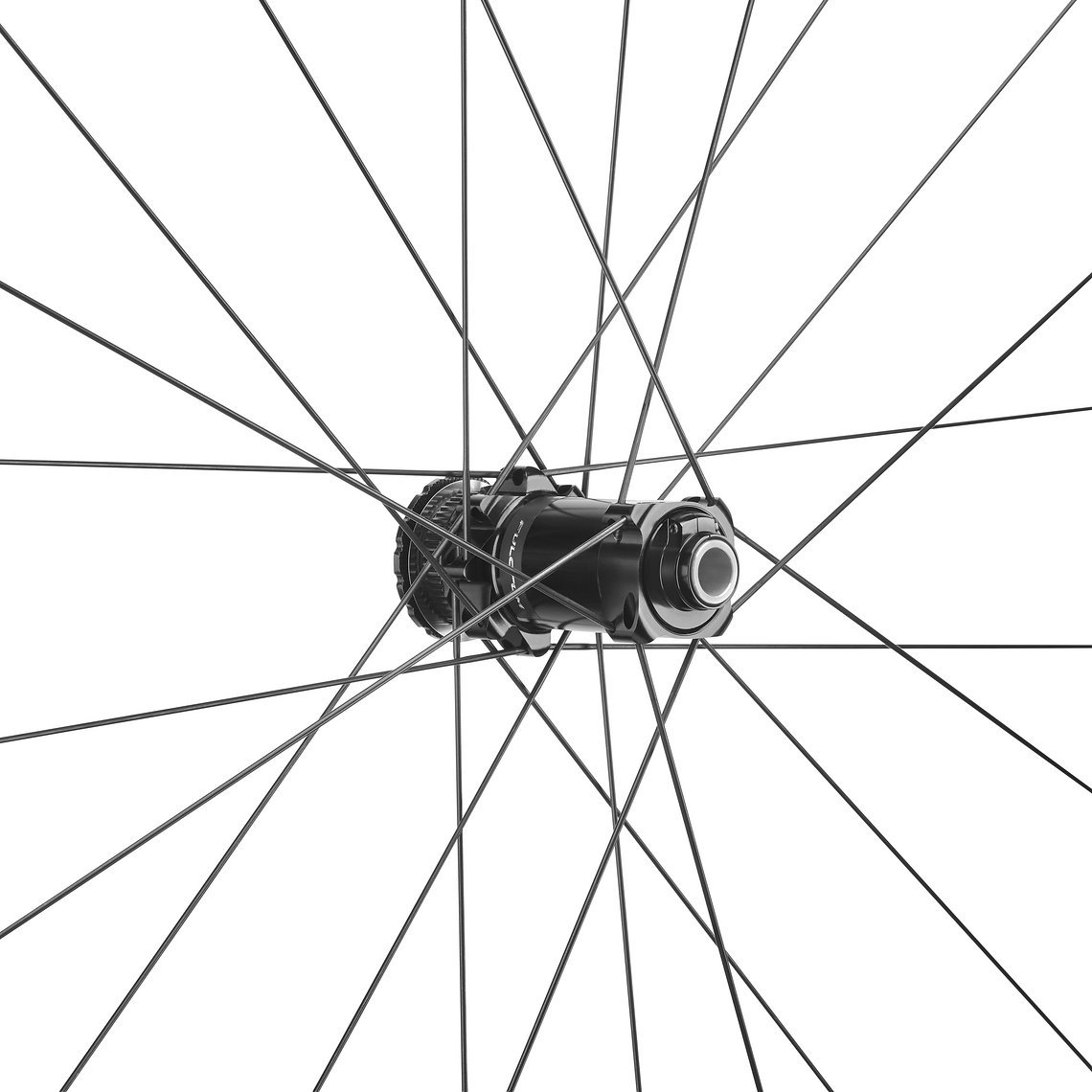 2026 Rapid Red AL hub front