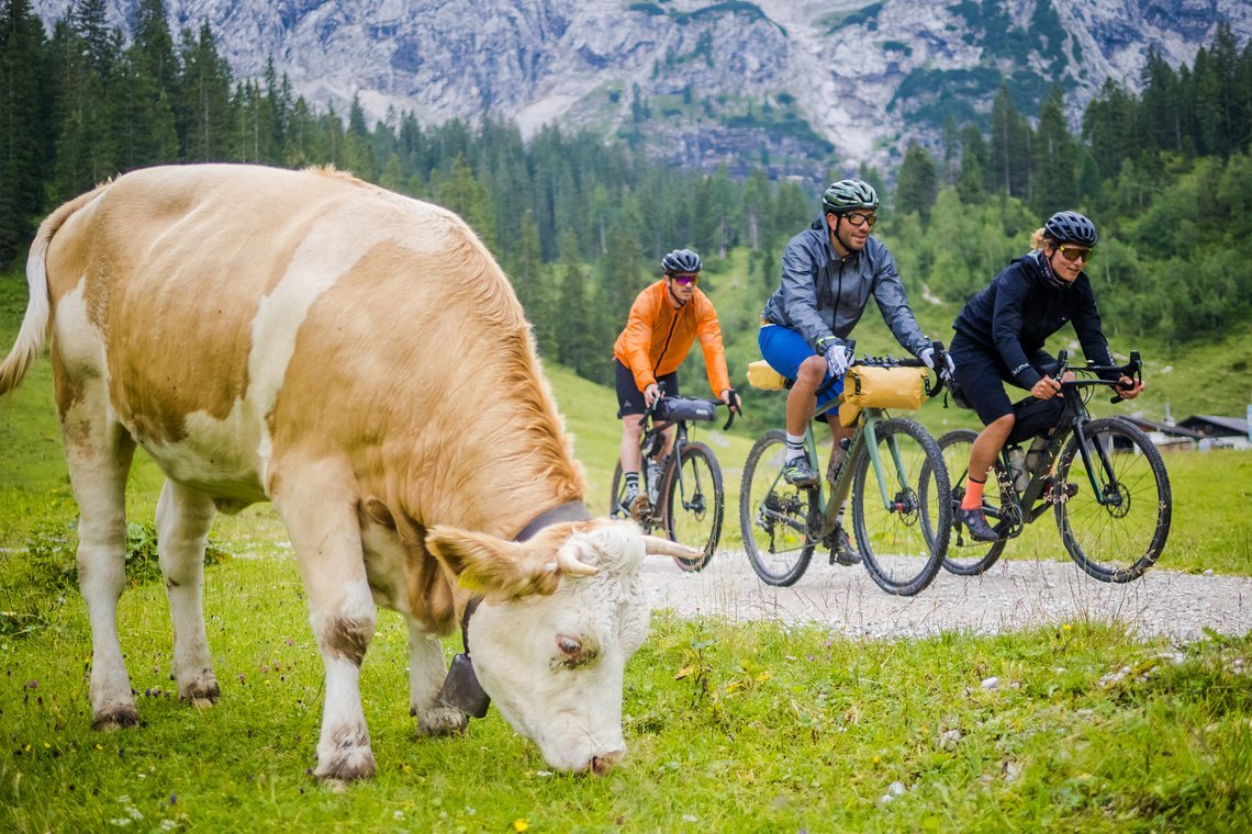 "Kuhle Tour!", sagt der Gravelleur zu seinen Begleitern.