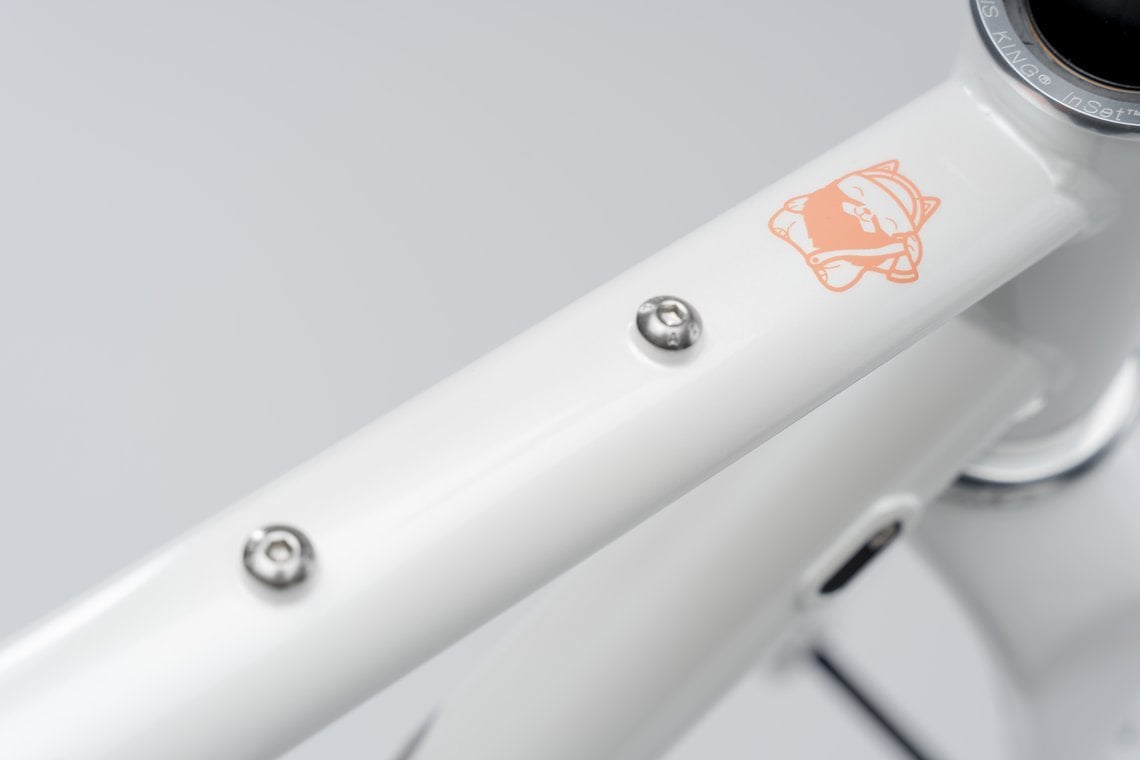 Der Rahmen besitzt Anschraubpunkte für Taschen, Flaschen, Gepäckträger & Schutzbleche. Der Rahmen besitzt Anschraubpunkte für Taschen, Flaschen, Gepäckträger & Schutzbleche.