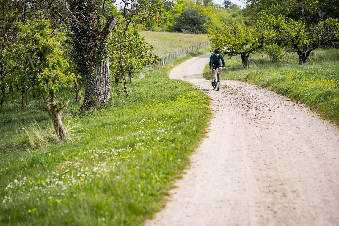 Am achten Tag schuf Gott genau solche Wege für Räder wie das Cervélo Áspero.