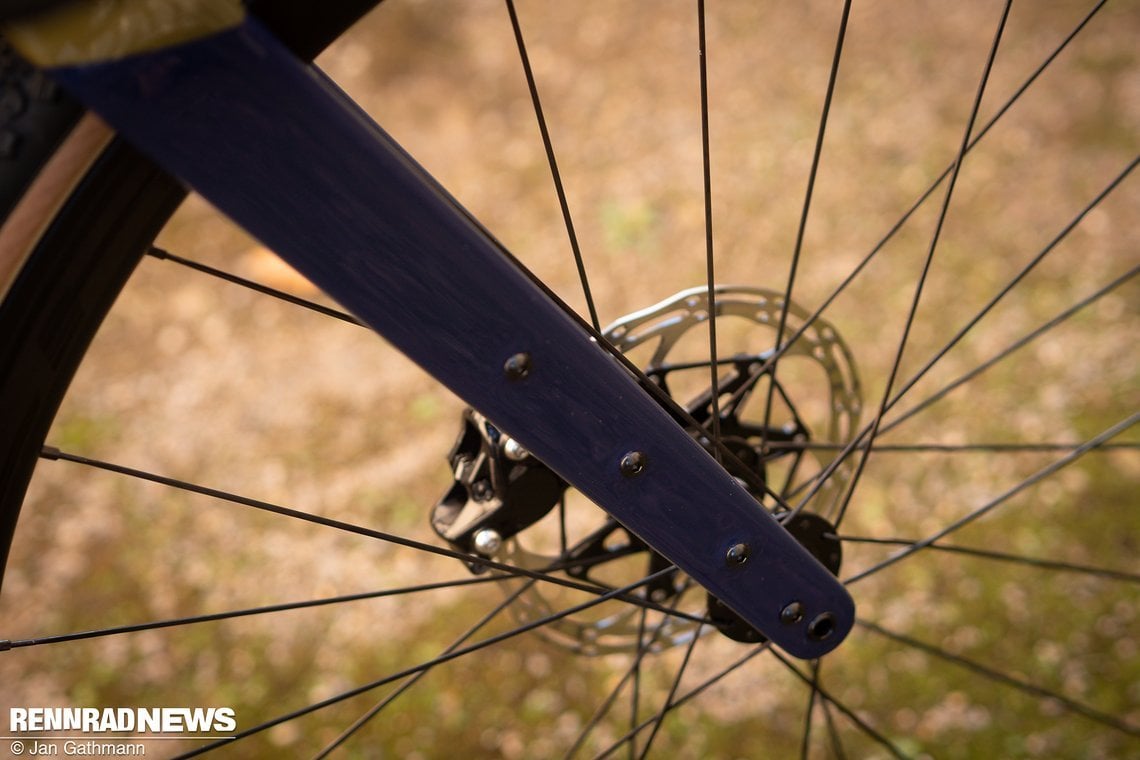 An der Carbongabel können Cages ebenso wie ein Lowrider andocken