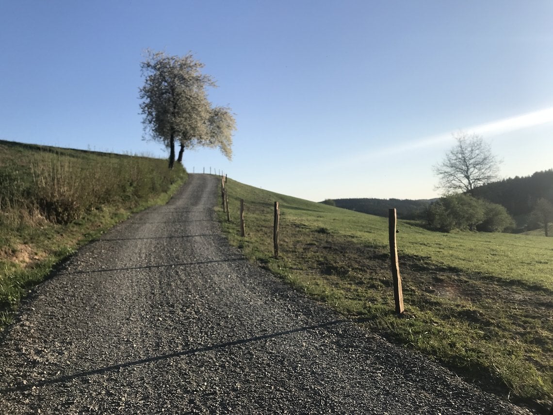 Auch grobe Schotterwege wie dieser lassen sich mit breiteren Reifen und geringem Druck fahren, sind aber das Ende des Spektrums