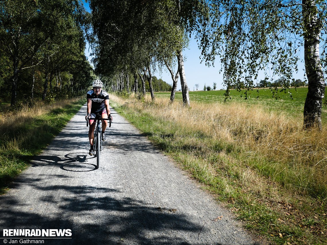 Auf dem flacheren Teil der Route gab es viele Alleen