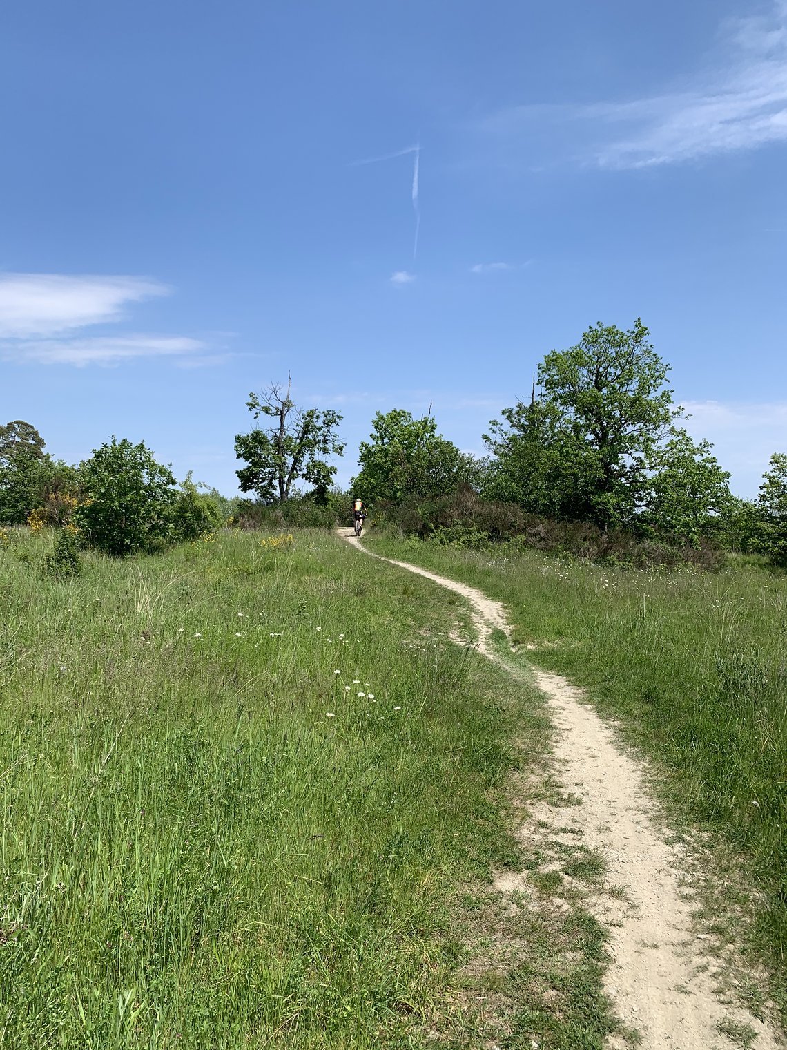 Auf Outdoor Routenplanungs-Portalen...