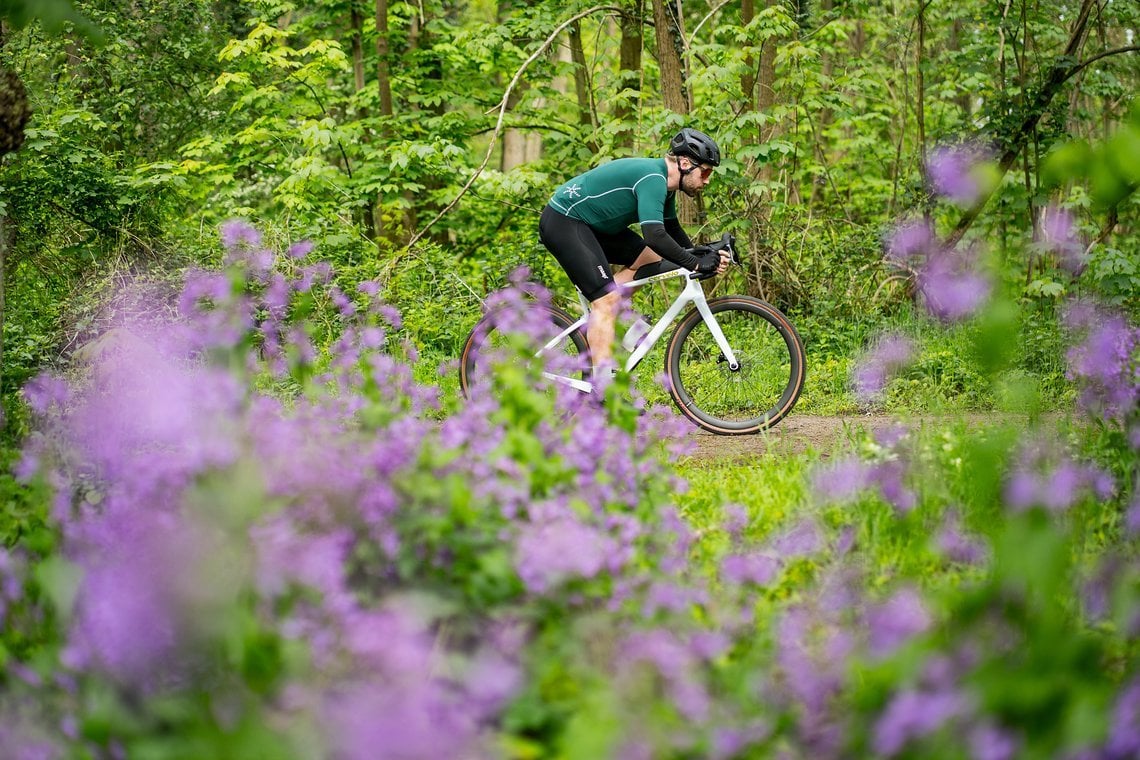 Im Unterlenker durch den Wald heizen geling mit dem Cervélo Áspero sehr schnell und auch vergleichsweise komfortabel.