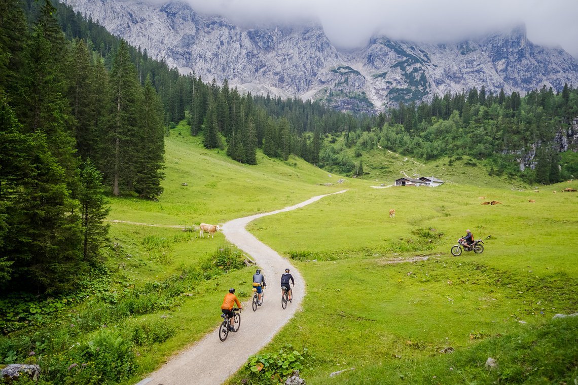 Hier ist die Welt noch in Ordnung. Und der Bauer fährt auf der Kuhweide Motorrad.