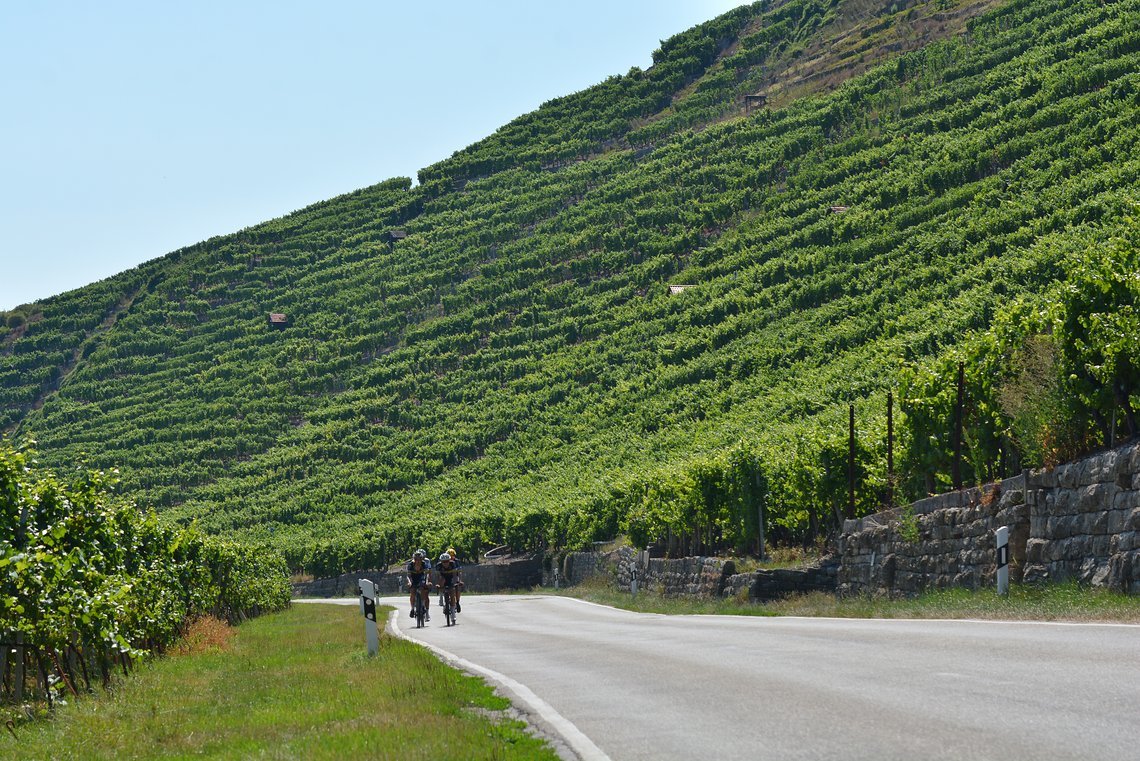 Auf der 4. Etappe von Lorsch nach Stuttgart