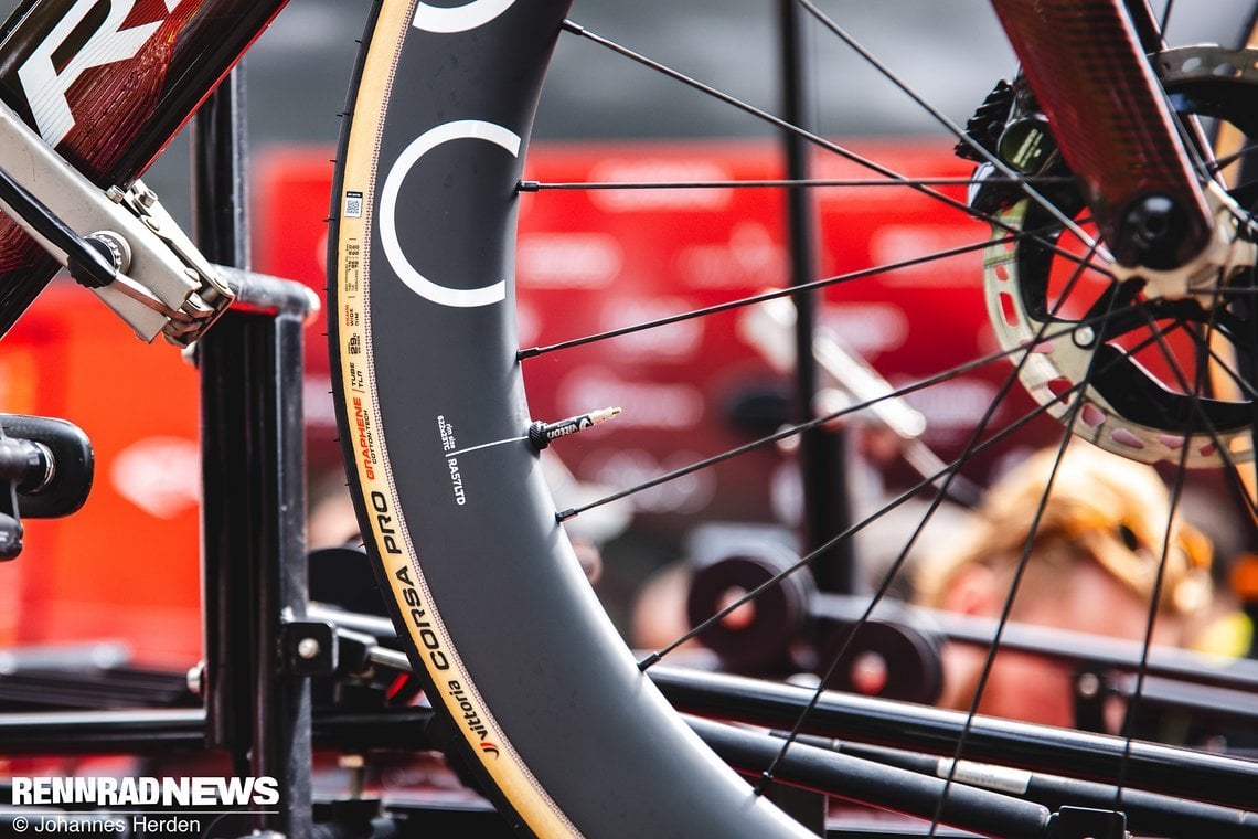 Sie werden mit Vittoria Corsa Pro in 29 mm auf Speed getrimmt.