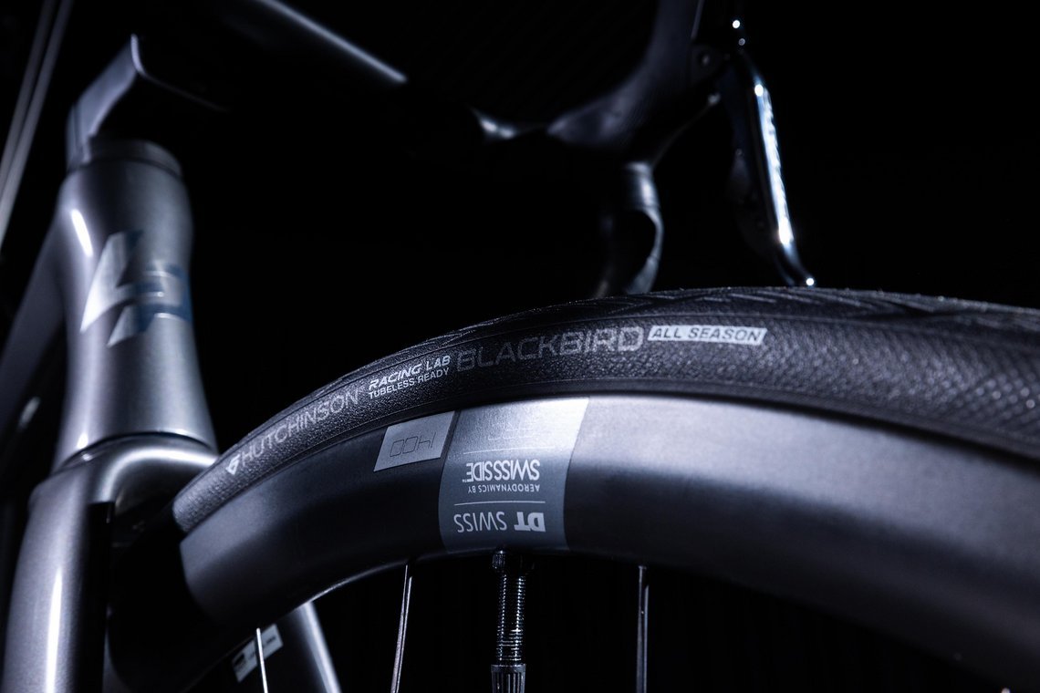 AS-250219 HUTCHINSON BLACKBIRD HD IMG 0004 3