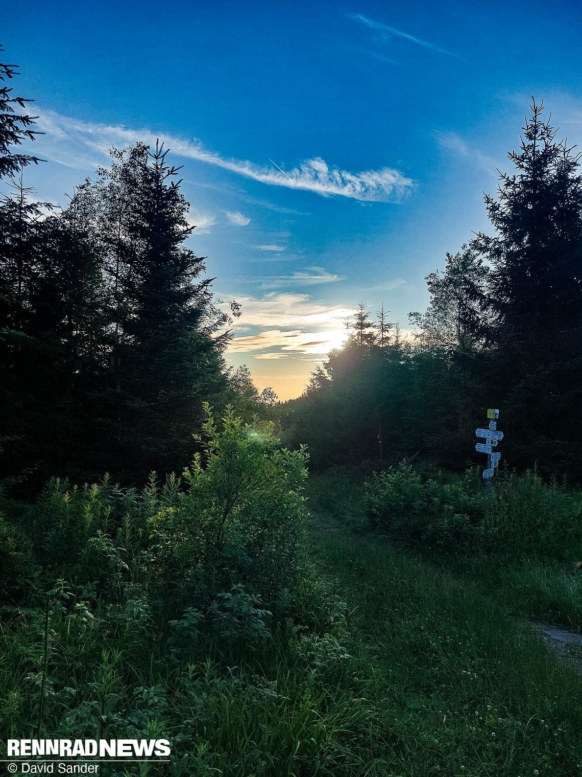 Schon 200 km in den Beinen und trotzdem überkommt mich am Berg ein regelrechter Motivationsschub.