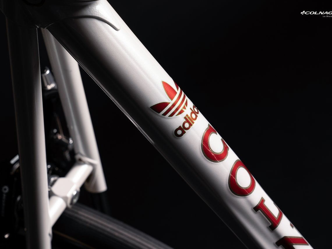 Colnago Adidas Edition-27