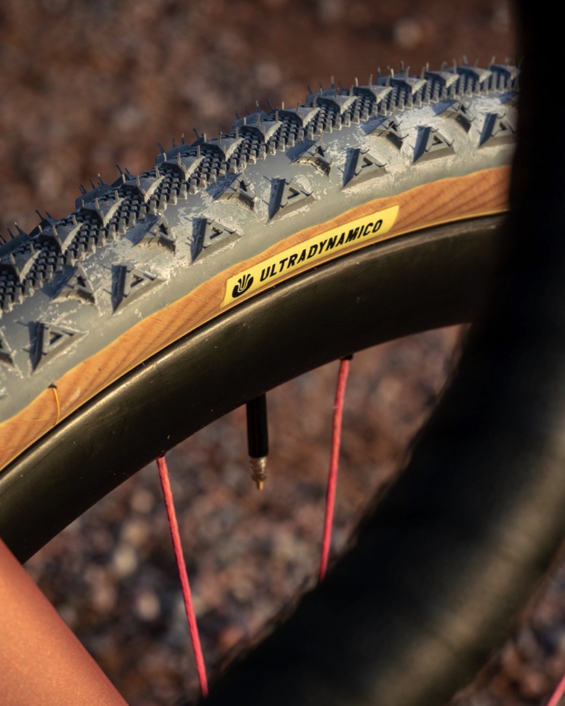 Farblich passende Ultradynamico Gravel-Reifen sind tubeless aufgezogen.