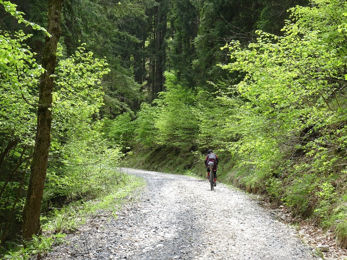 Im Frühtau zu Berge.