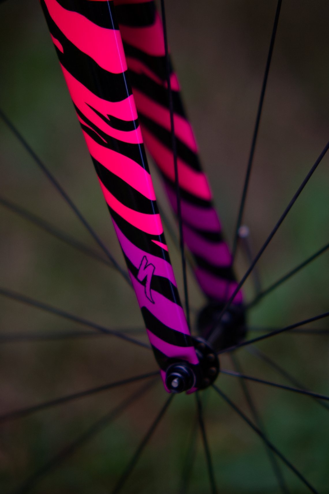 Specialized Tarmac zebra paint Gabel