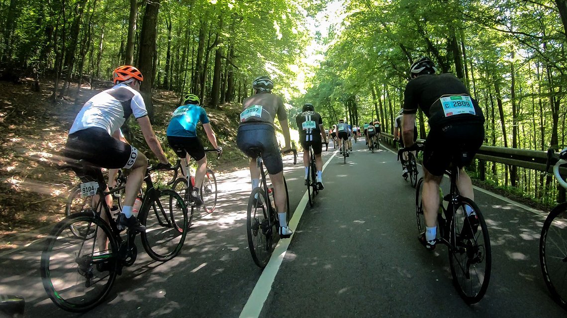 ...und Schatten im Wald danach – bei 30 Grad Celsius willkommen