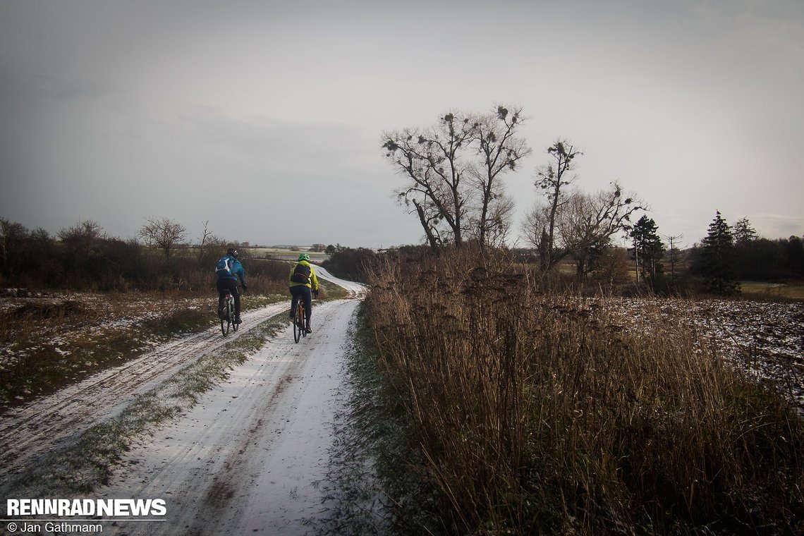 Wildnis in der Uckermark.