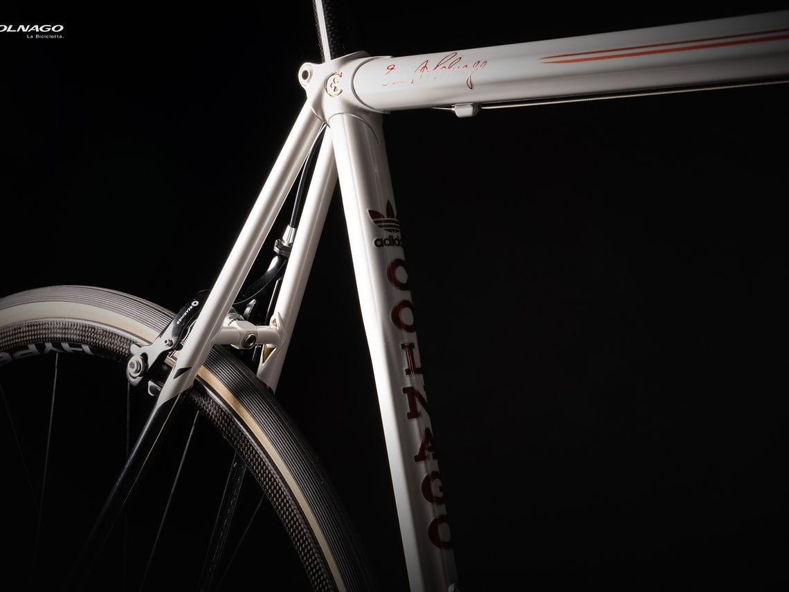 Colnago Adidas Edition-26