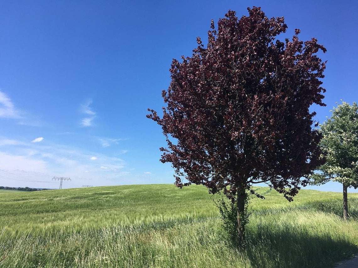 Zeit die Landschaft zu genießen muss sein