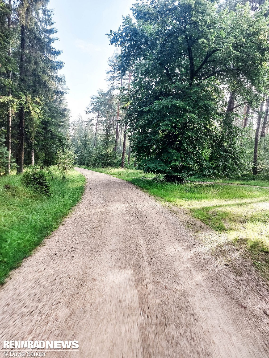 Meine Reise bringt mich auch durch einen traumhaften Kiefernwald mit feinstem Gravel.