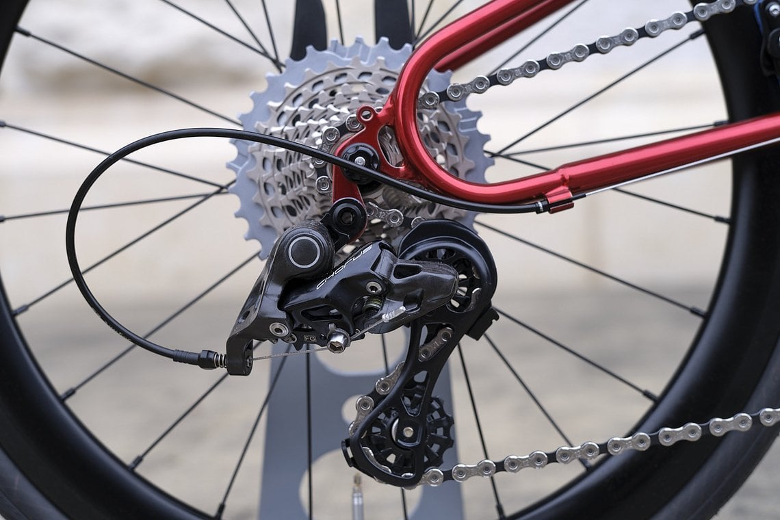 ...mit einer standesgemäßen Rennradgruppe: der Campagnolo Chorus 12-fach.