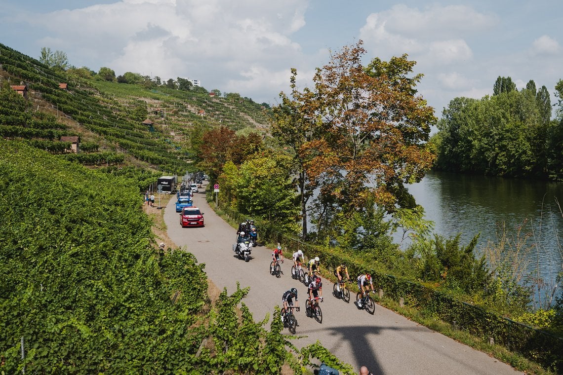 Durch die Weinberge ging es zum Ziel.