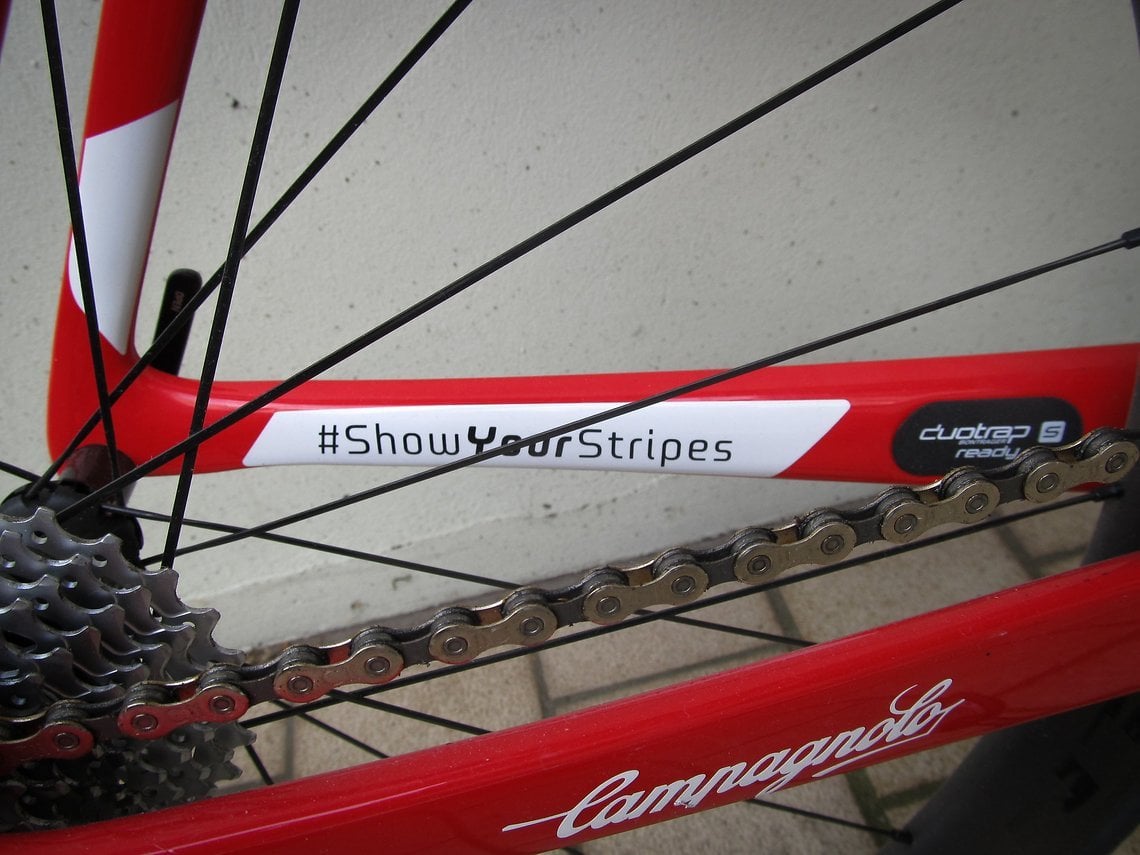 #ShowYourStripes ist der Hashtag für die alte Trek-SegafredoTeamkleidung