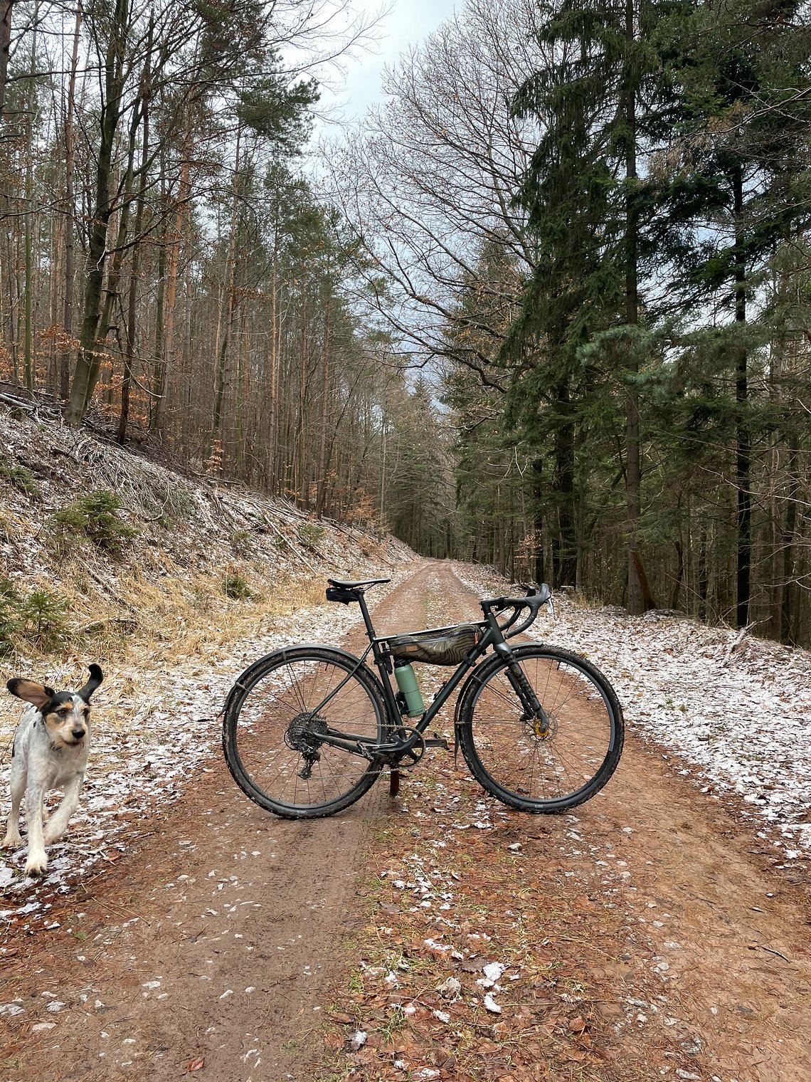 Winterfreuden für Mensch und Tier