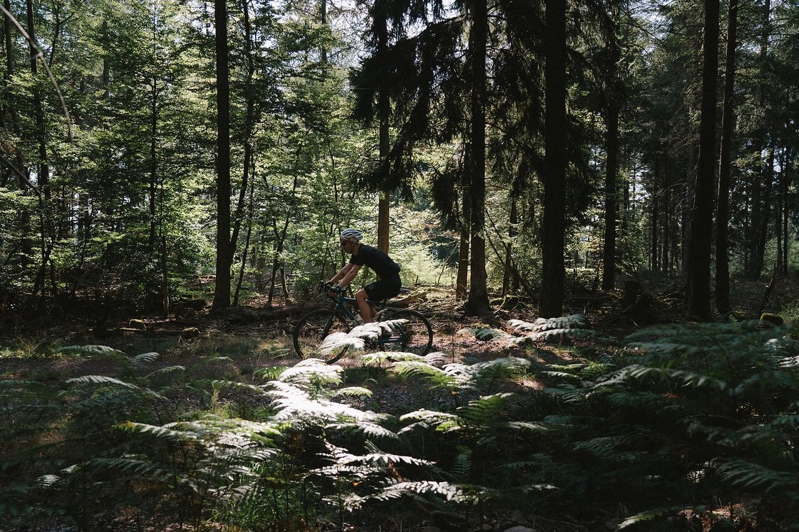 Der Pfälzer Wald hat mich als neuen Freund gewonnen