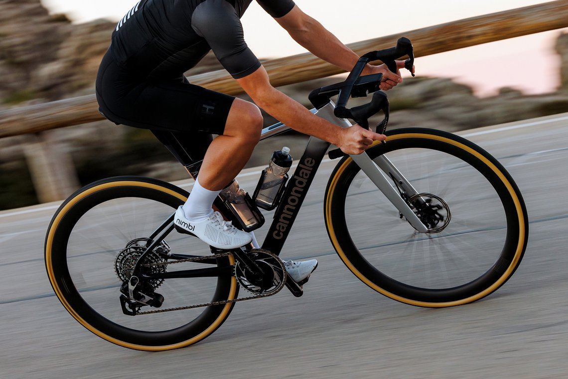 C25 LAB71 Synapse Mallorca 0070