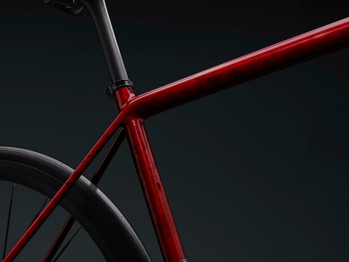 Die runde Roval Alpinist Carbonsattelstütze in 27,2 mm gibt es an allen Modellen.