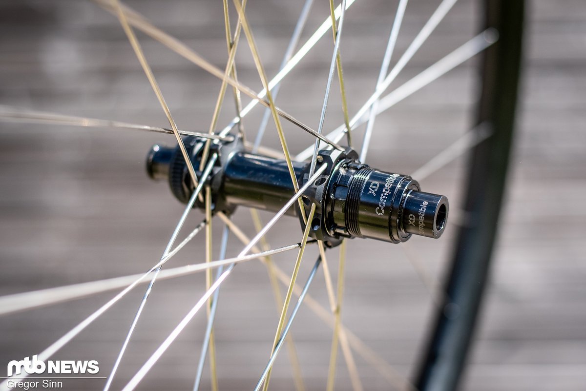 XD-Freilauf fürs MTB – es gibt auch den SRAM XDR-Freilaufkörper und die Road-Standards von Shimano und Campagnolo XD-Freilauf fürs MTB – es gibt auch den SRAM XDR-Freilaufkörper und die Road-Standards von Shimano und Campagnolo