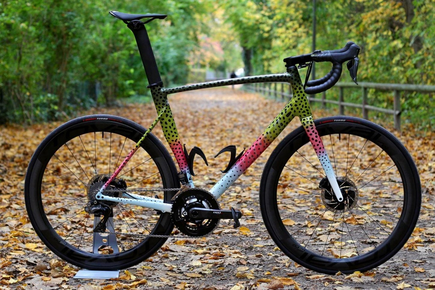 specialized allez disc frameset