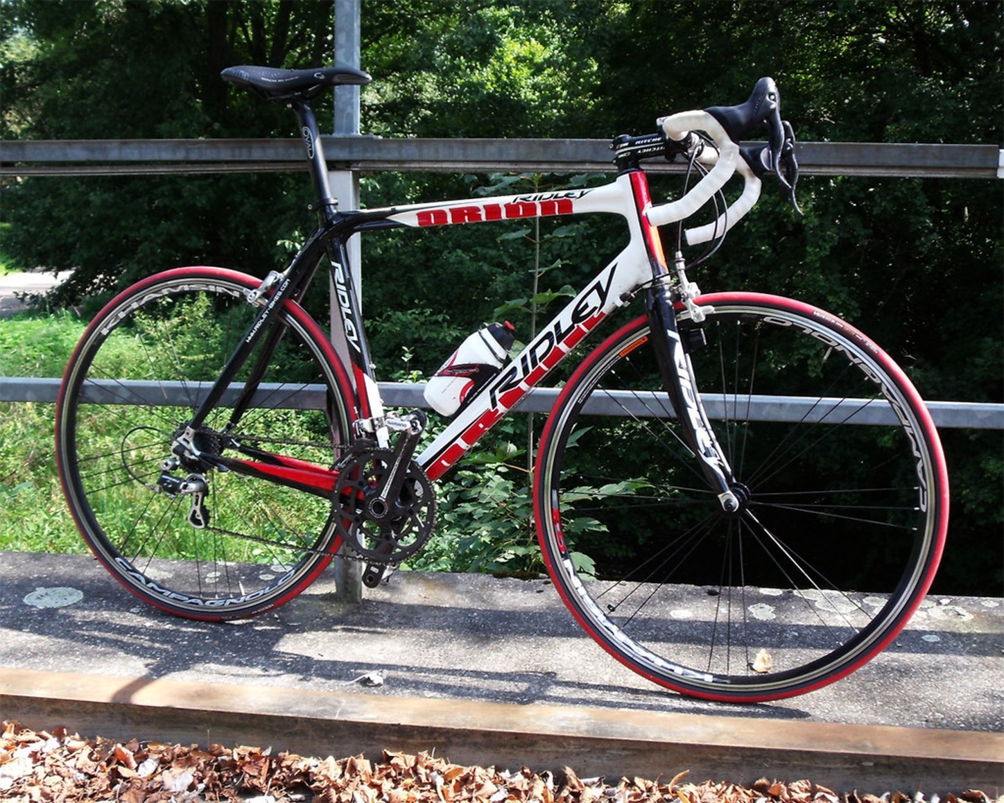 ridley orion 2010