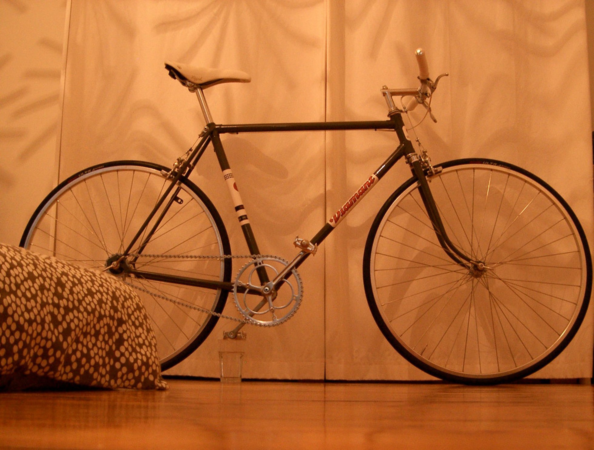 Foto DIAMANT singlespeed RennradNews.de