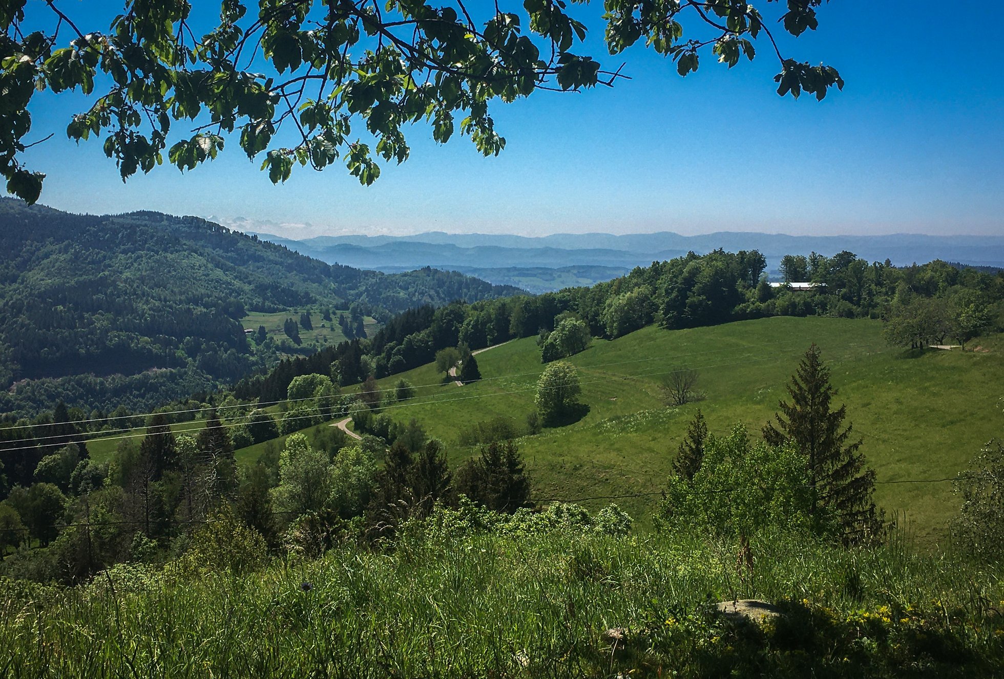 Foto pfaffenberg RennradNews.de