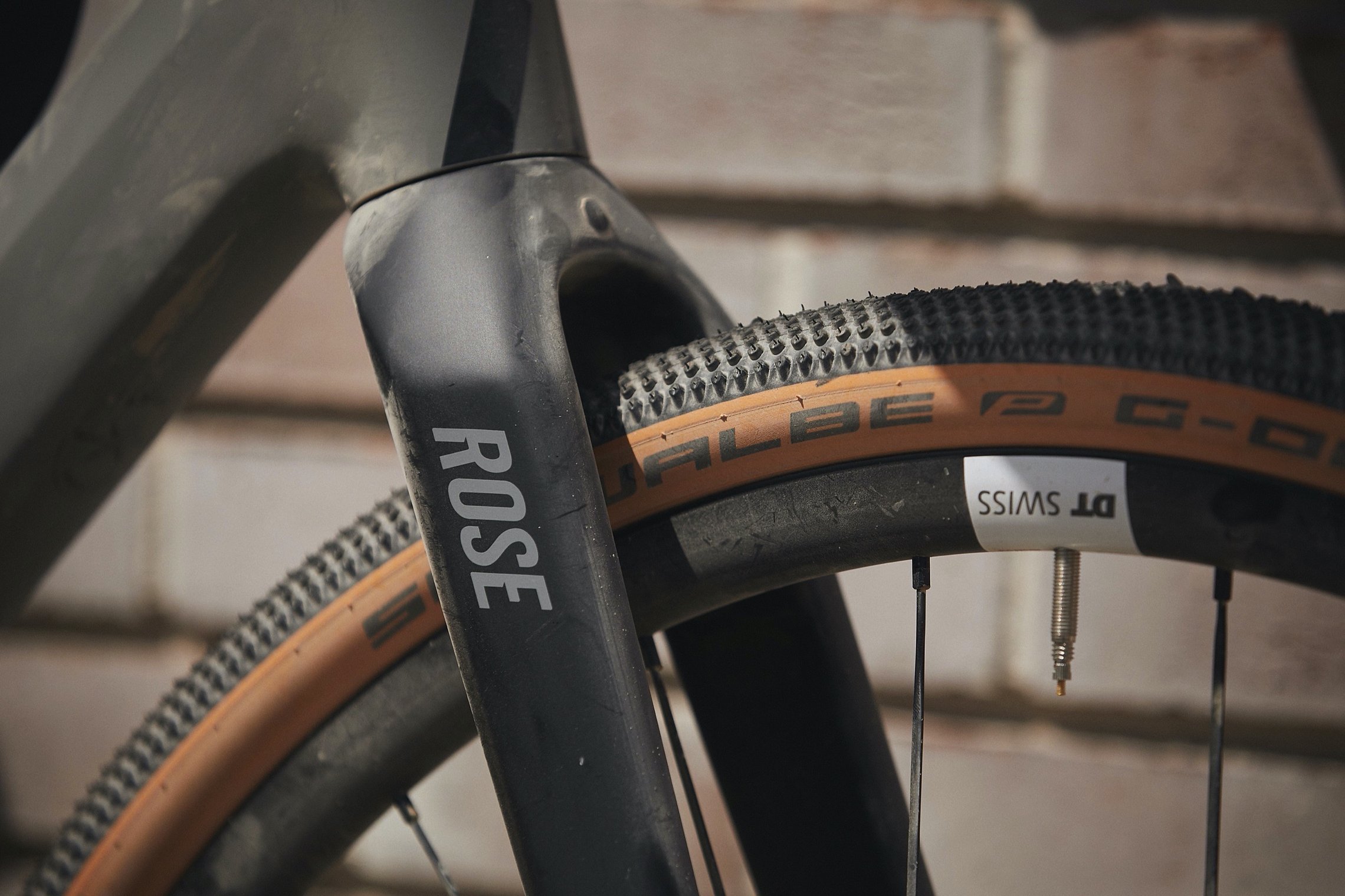 Rose Backroad AL AluGravelbike für Alle RennradNews