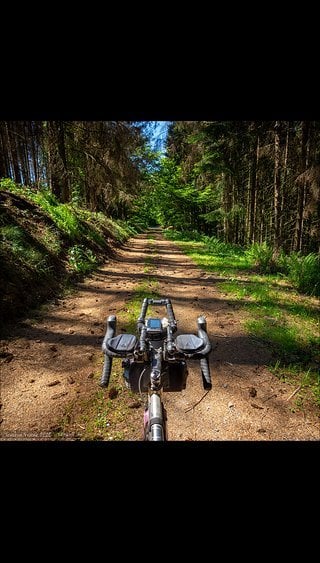 Der wunderbare Waldweg-Nadel-Teppichboden by Huegelreiter