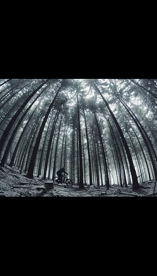 Winterpokal auf dem MTB im Deister