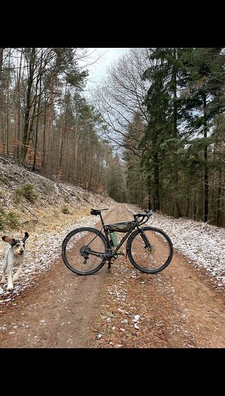 Winterfreuden für Mensch und Tier