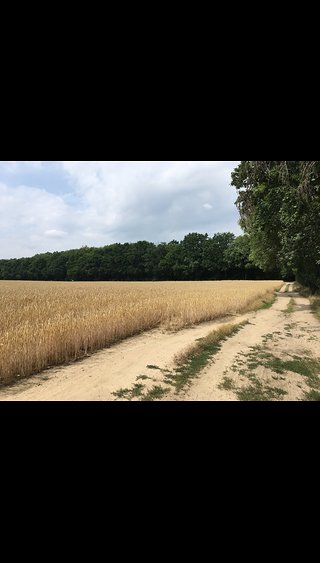 Sandenburg Lenkerbreitentest by Simon Becker