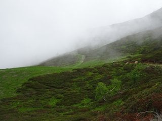 Alpe di Mera im Nebel