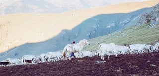 Bauern, hoch oben auf einer Bergpassstraße