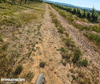 Braking Bad Gravel in und um Bad Kreuznach