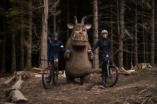 Mit flachem Winkel und Gabel mit Feder, so ein Gravel-Bike hat längst nicht jeder!